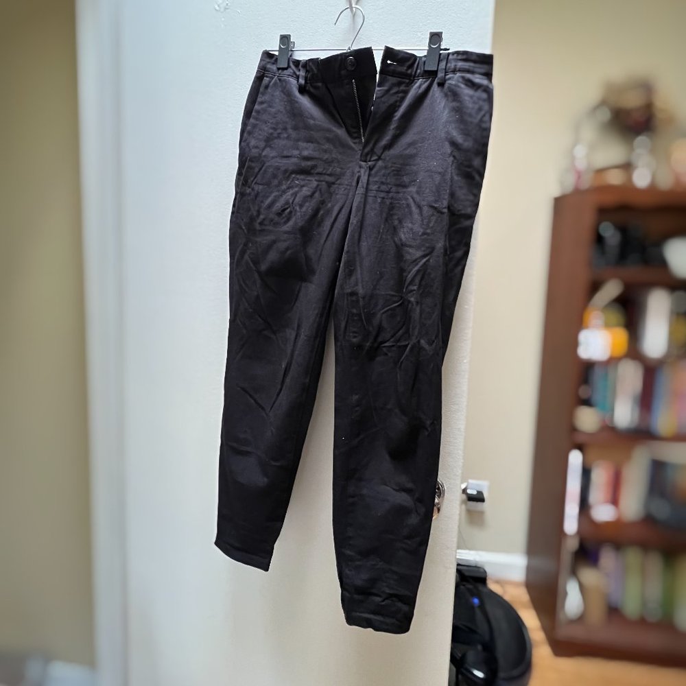 Everlane Performance Traveler Chino in black, 31x30